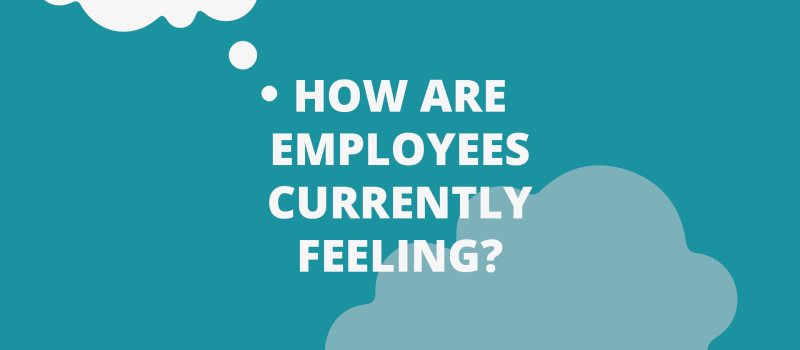 Don’t lose sight of your staff’s wellbeing